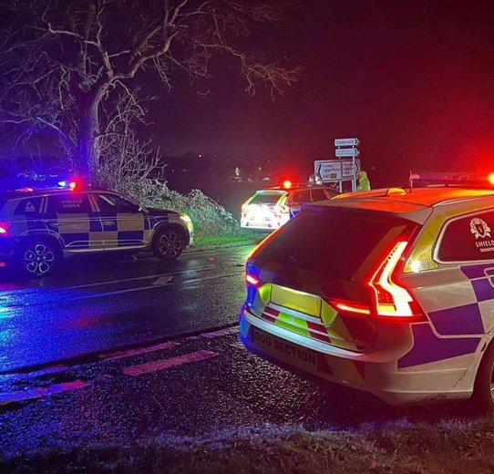 Police cars parked on the roadside at night, with flashing lights illuminating the dark surroundings.