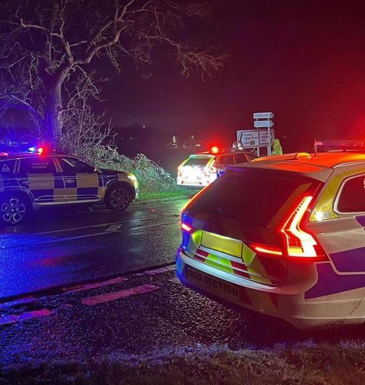 Police cars parked on the roadside at night, with flashing lights illuminating the dark surroundings.