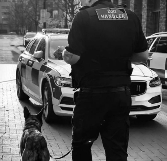 A police officer in uniform walks a dog on a city street, showcasing a community-oriented police presence.