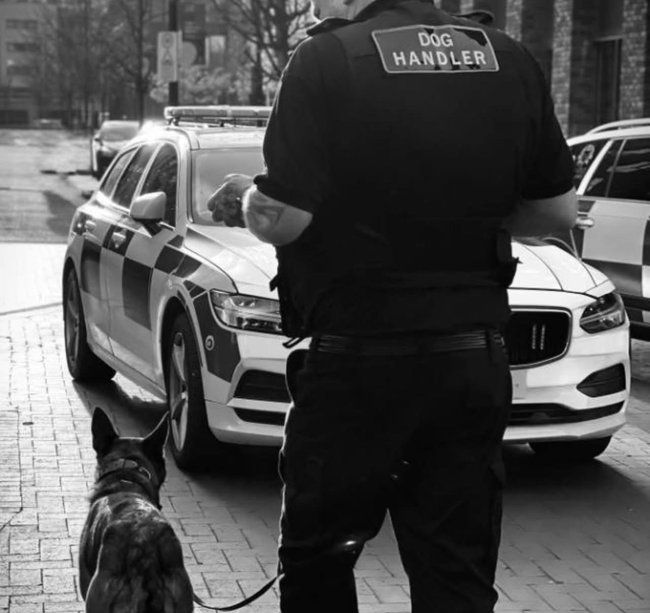 A police officer in uniform walks a dog on a city street, showcasing a community-oriented police presence.