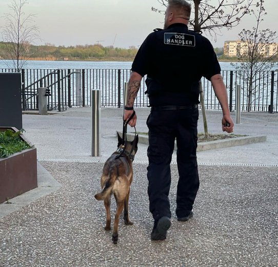 Dog Handler with dog